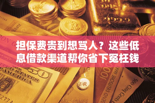 济南担保费贵到想骂人？这些低息借款渠道帮你省下冤枉钱