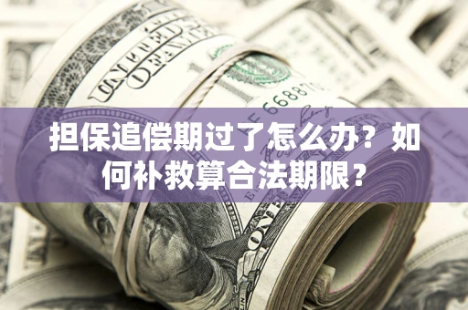 济南担保追偿期过了怎么办？如何补救算合法期限？