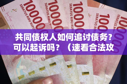 济南共同债权人如何追讨债务？可以起诉吗？（速看合法攻略）