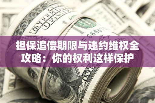 济南担保追偿期限与违约维权全攻略：你的权利这样保护